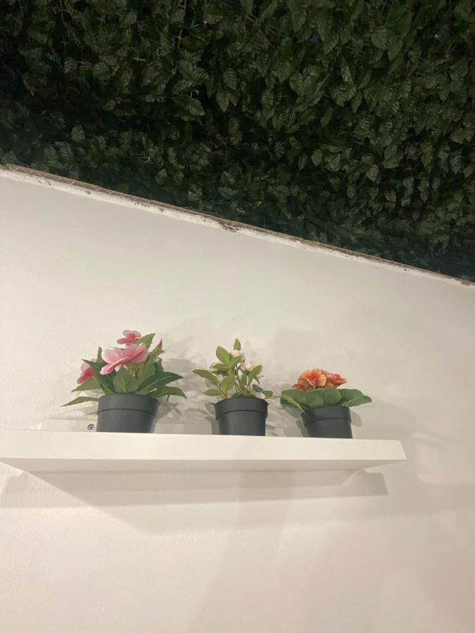 Apartament Alfa Casa Vacanze Katania Zewnętrze zdjęcie